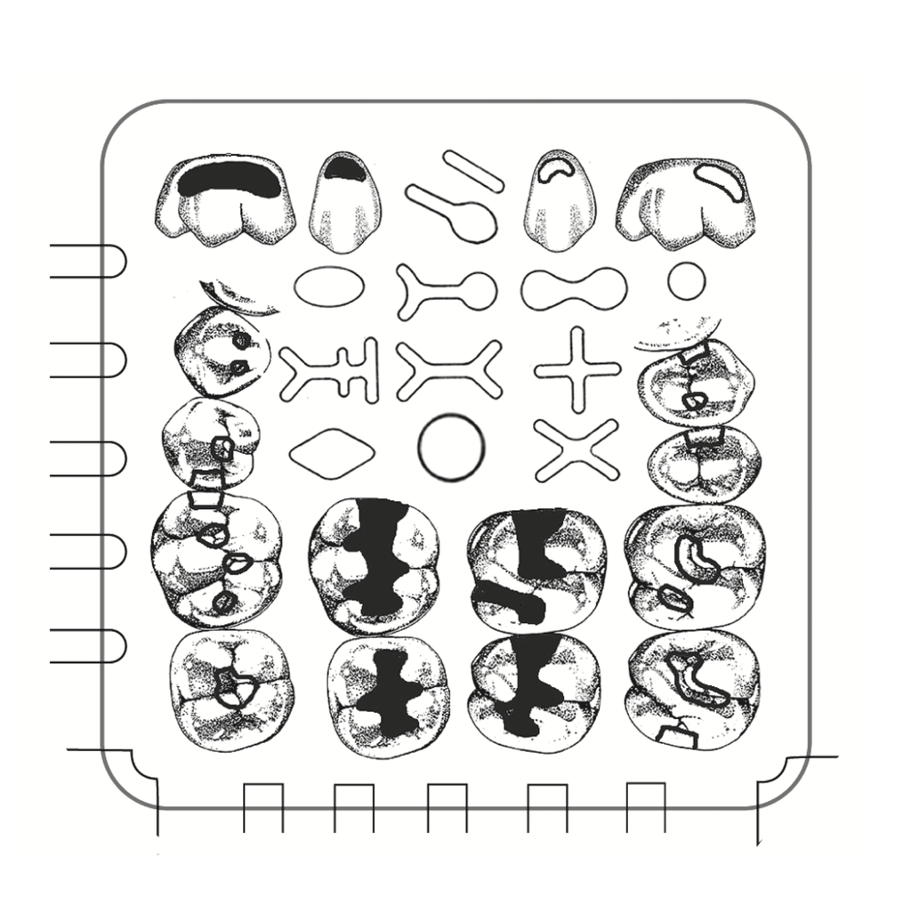 Loseta de Entrenamiento Learn and Prep Whip Mix