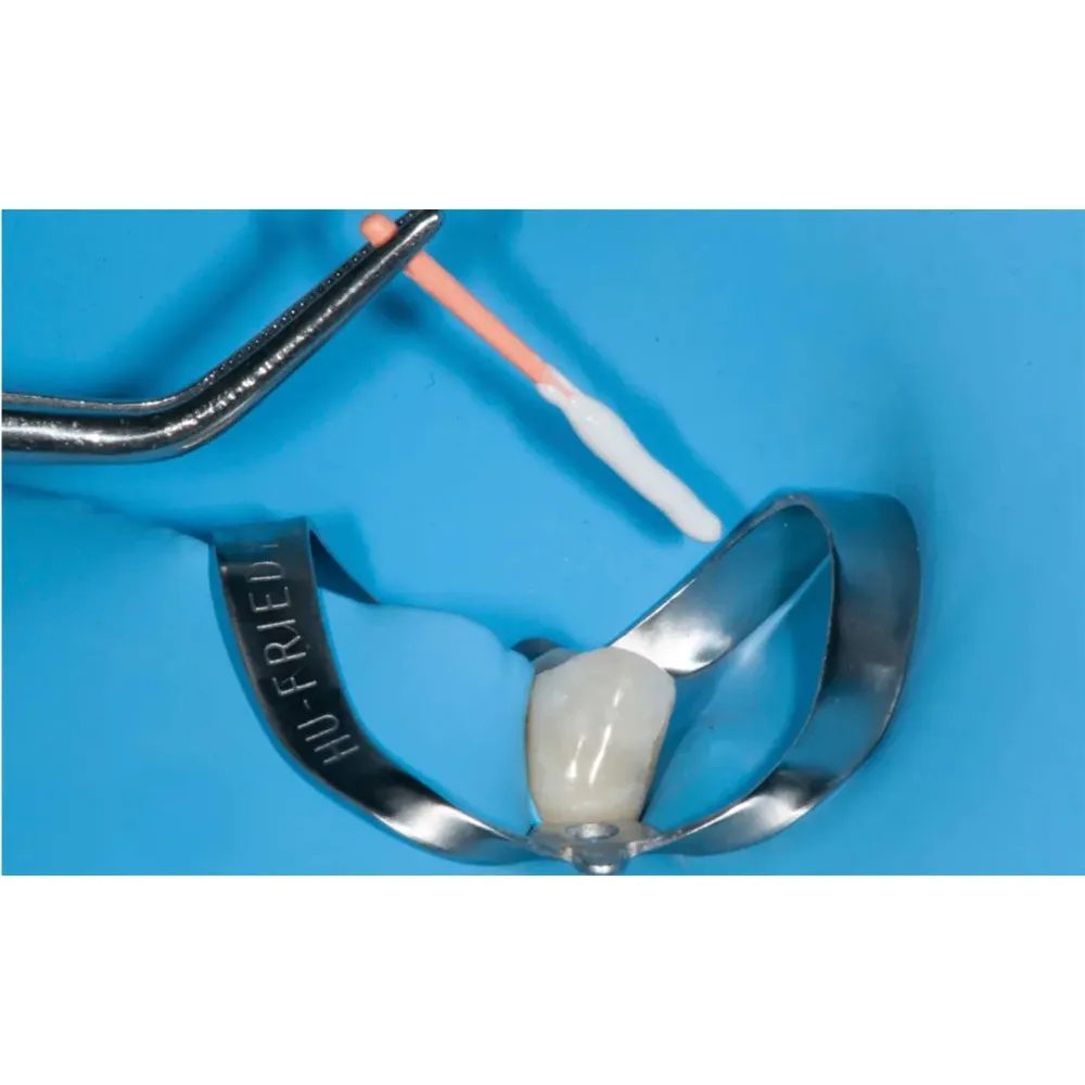 Cemento Biocerámico Bioceramic KP Root SP Woodpecker