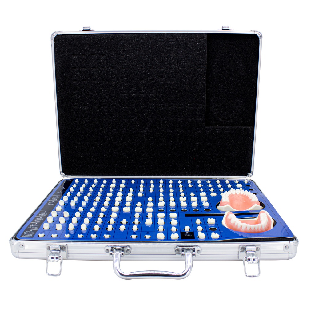 Set de estudio y práctica Restauraciones dentales M7030 Machtig