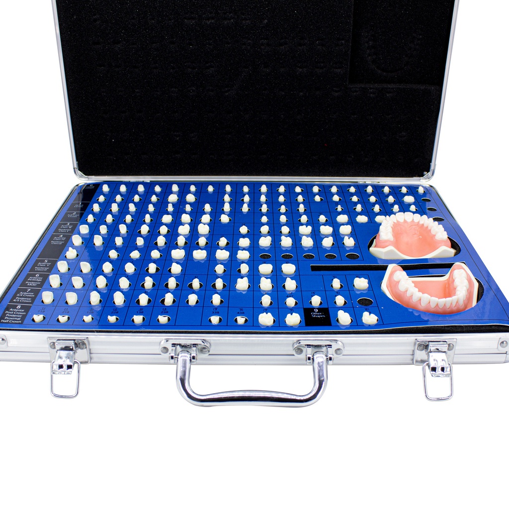 Set de estudio y práctica Restauraciones dentales M7030 Machtig