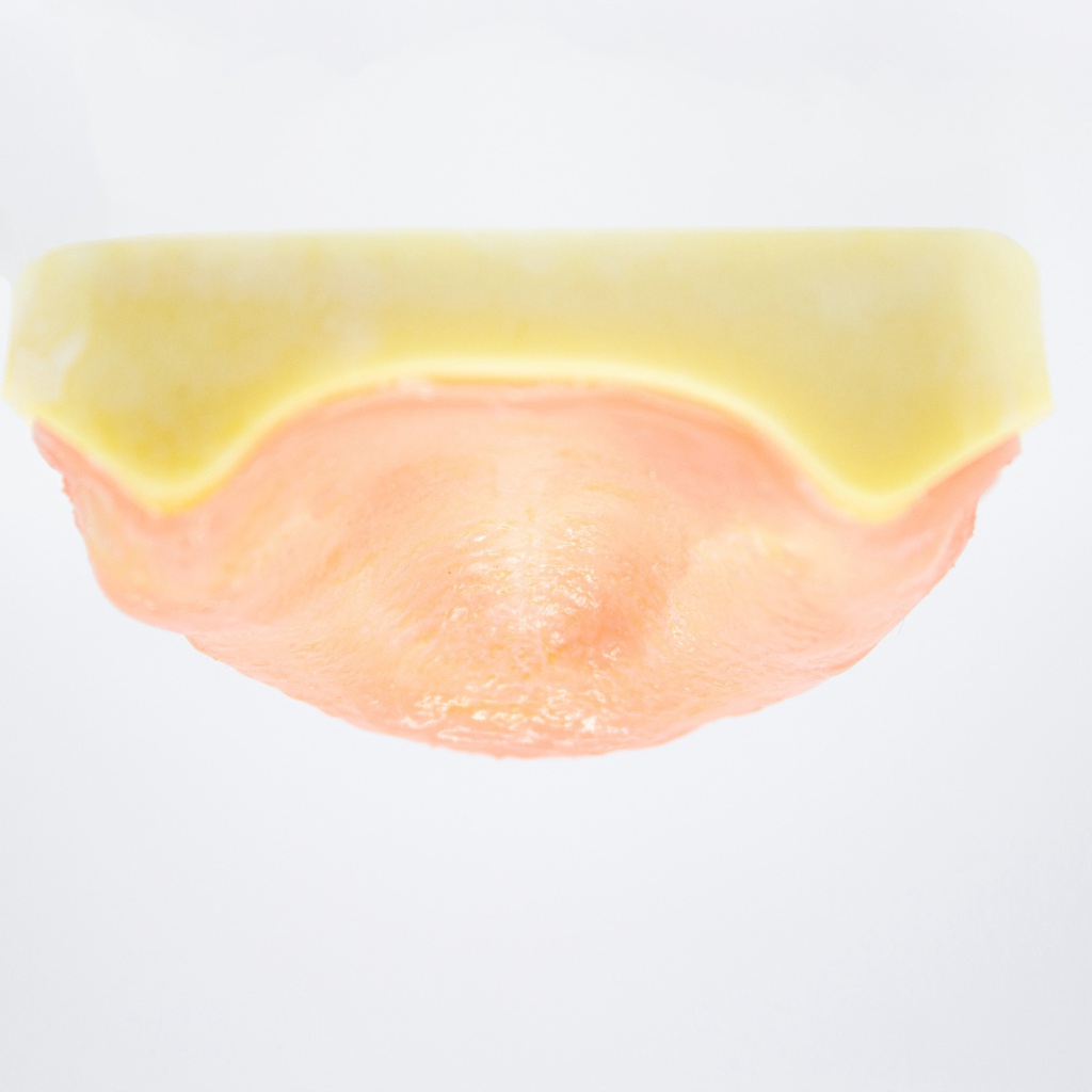 Modelo estudio Desdentado con encía Max.Superior Machtig