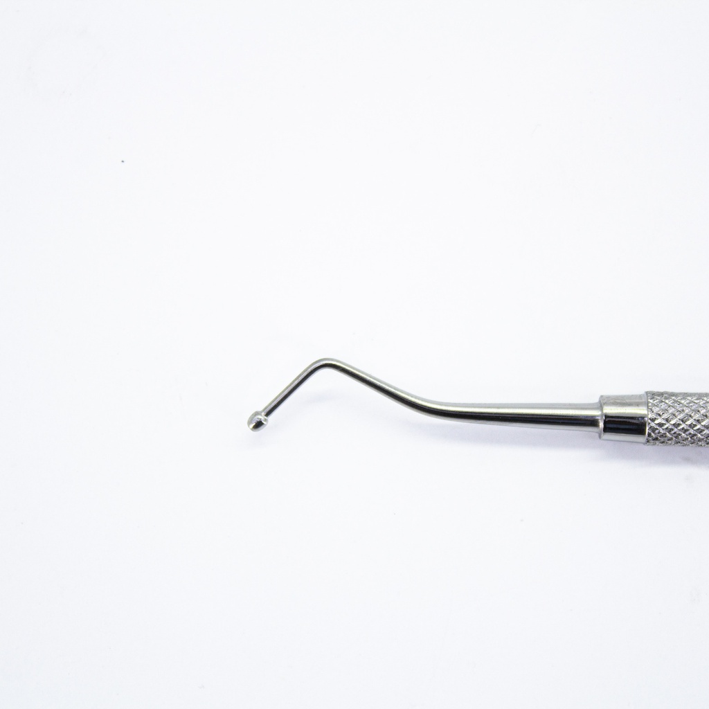 Bruñidor para resina composite Pak