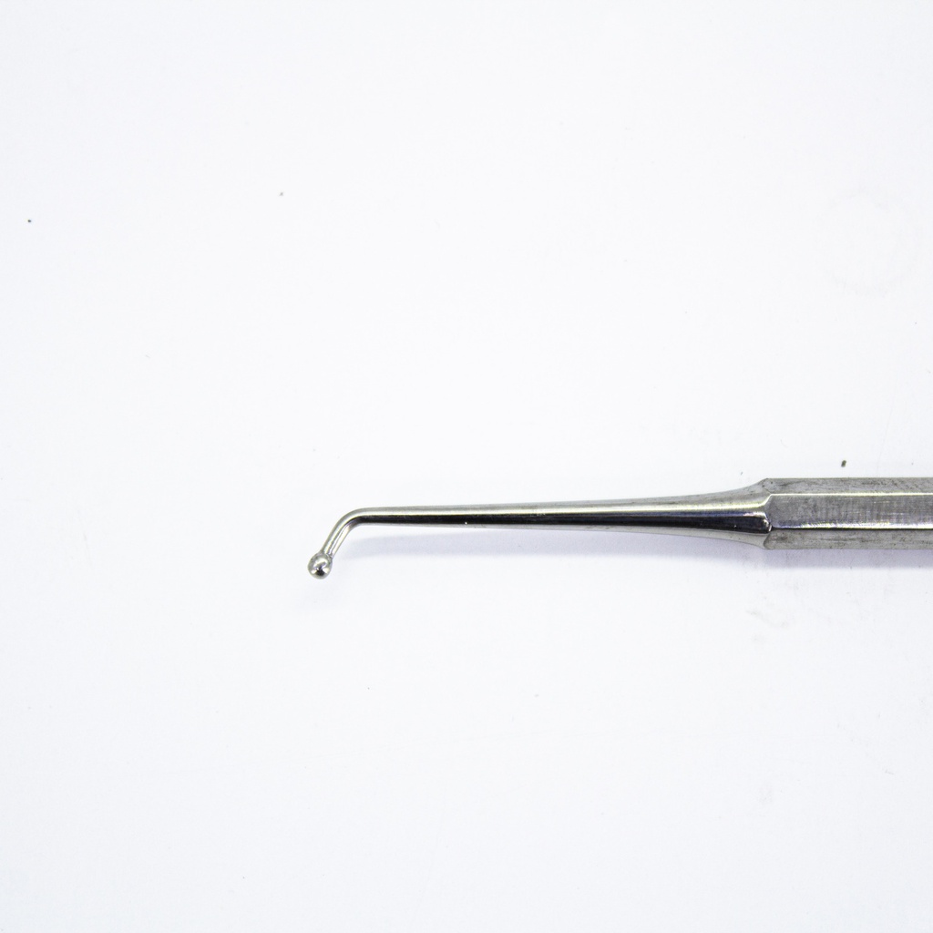 Bruñidor para resina composite Pak