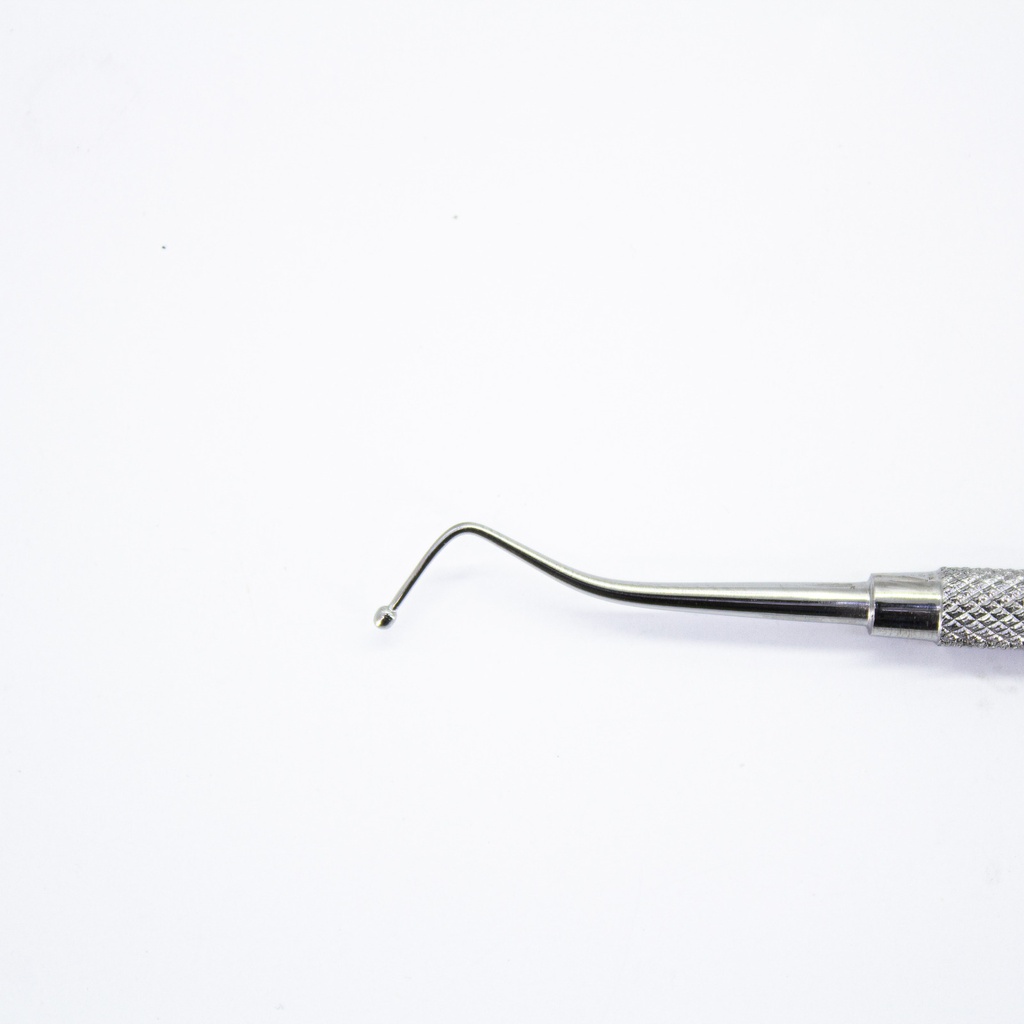 Bruñidor para resina composite Pak