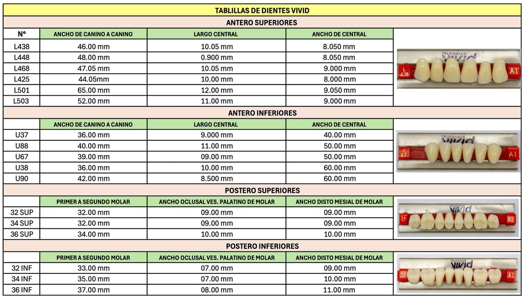 Tableta de Dientes Acrílicos 34U Vivid