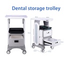 Carro mesa rodante con 2 Cajones + 2 Bandejas MC17 Machtig