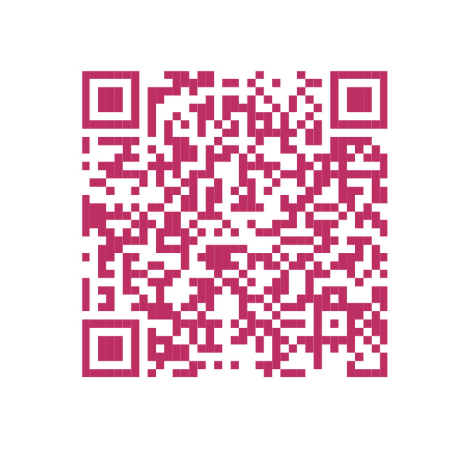 Colorímetro guía de color digital Vita Easyshade Lite VITA Zahnfabrik