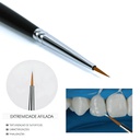 Pincel para Resina composite N°24 Tokuyama