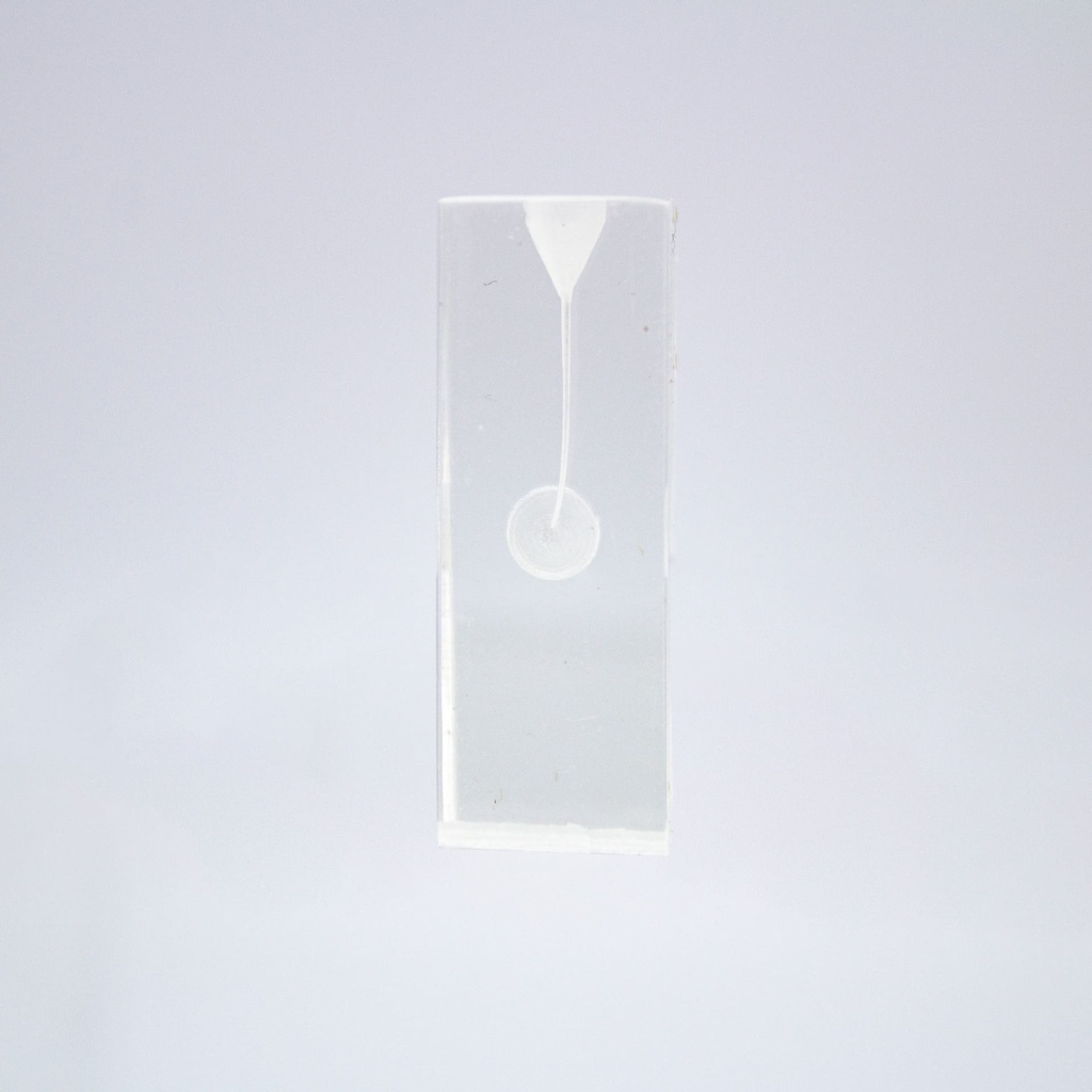 Set de Conductos para entrenamiento endodóntico Machtig