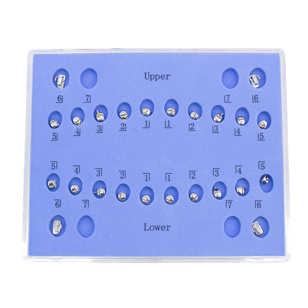 1 Caso Brackets Autoligado esféricos Machtig