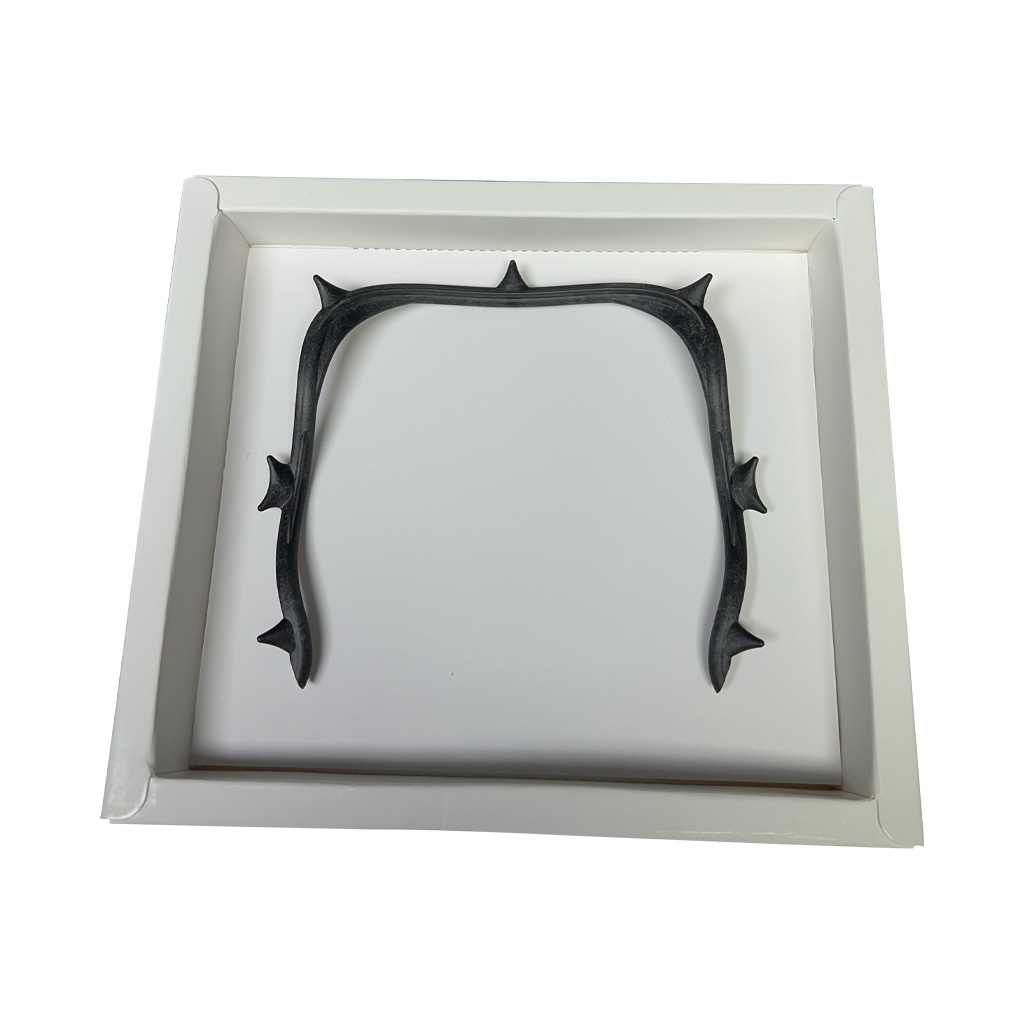 Arco de Young fibra de carbon Carbon fiber rubber dam frame ZT Dental