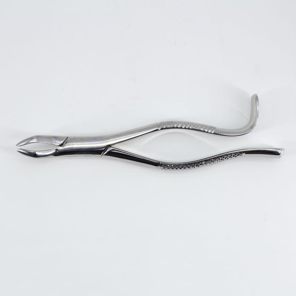 Forceps Adulto Woodpecker