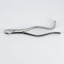 Forceps Adulto Woodpecker