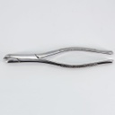 Forceps Adulto Woodpecker