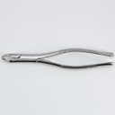 Forceps Adulto Woodpecker