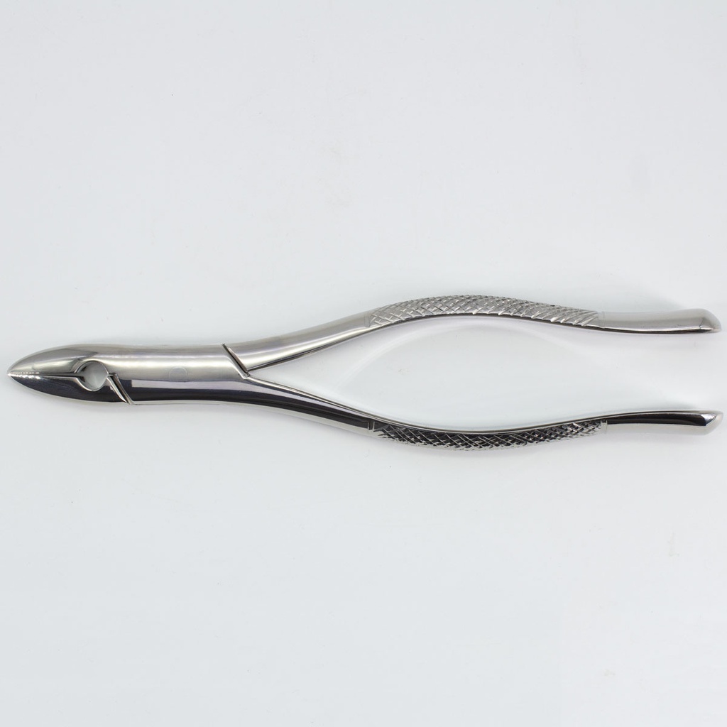 Forceps Adulto Woodpecker
