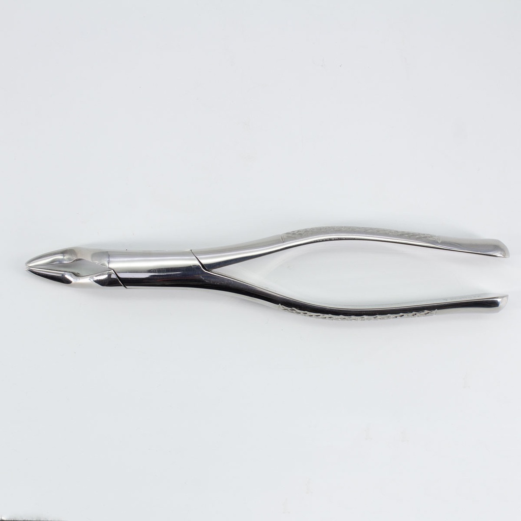 Forceps Adulto Woodpecker