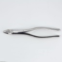 Forceps Adulto Woodpecker