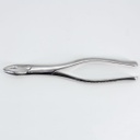 Forceps Adulto Woodpecker
