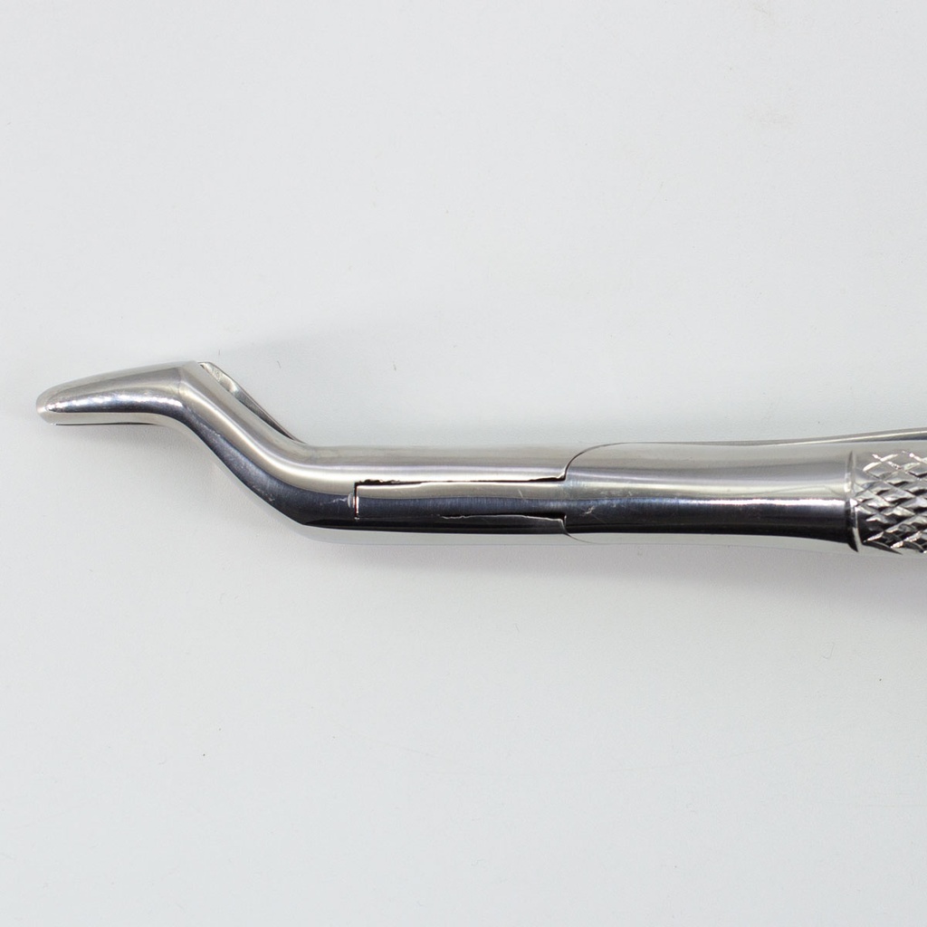 Forceps Adulto Woodpecker