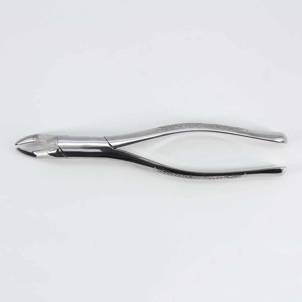 Forceps Adulto Woodpecker