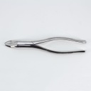 Forceps Adulto Woodpecker
