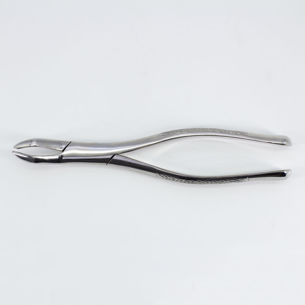 Forceps Adulto Woodpecker