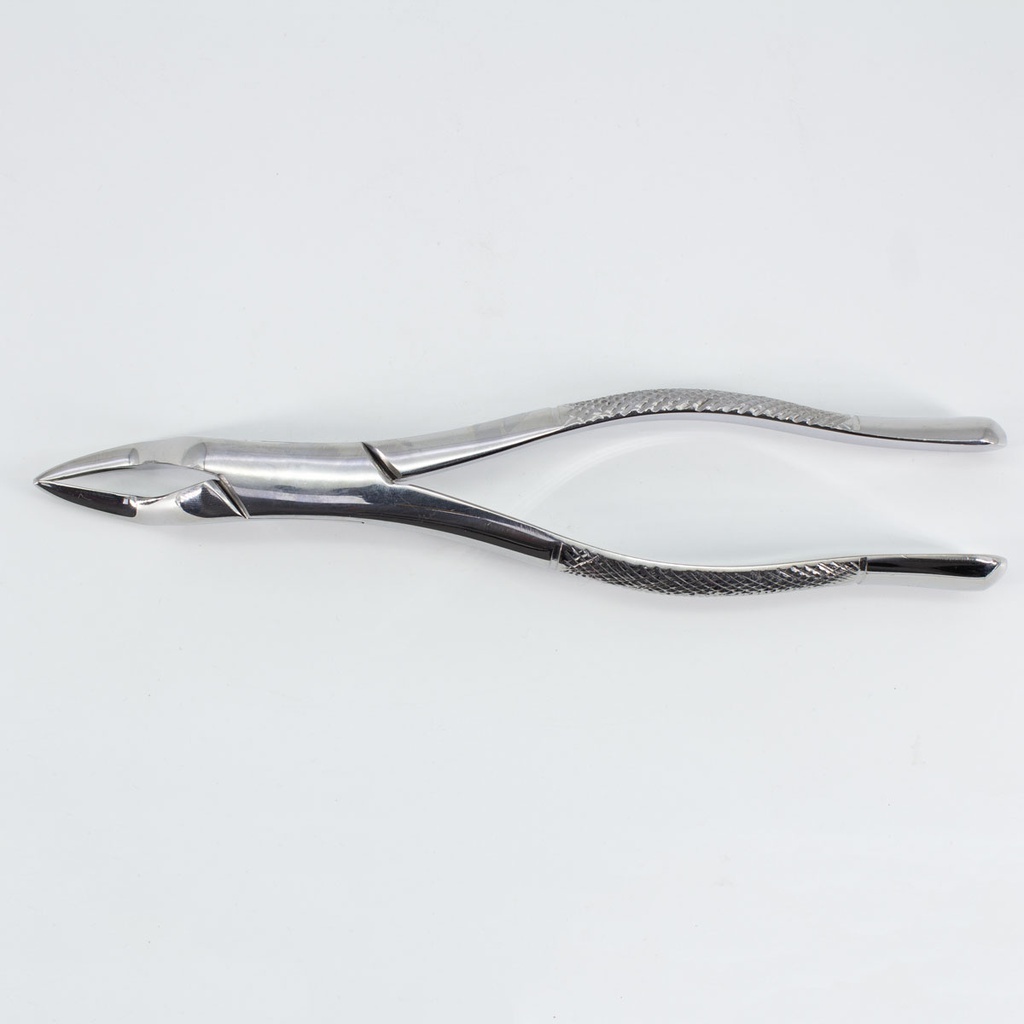 Forceps Adulto Woodpecker