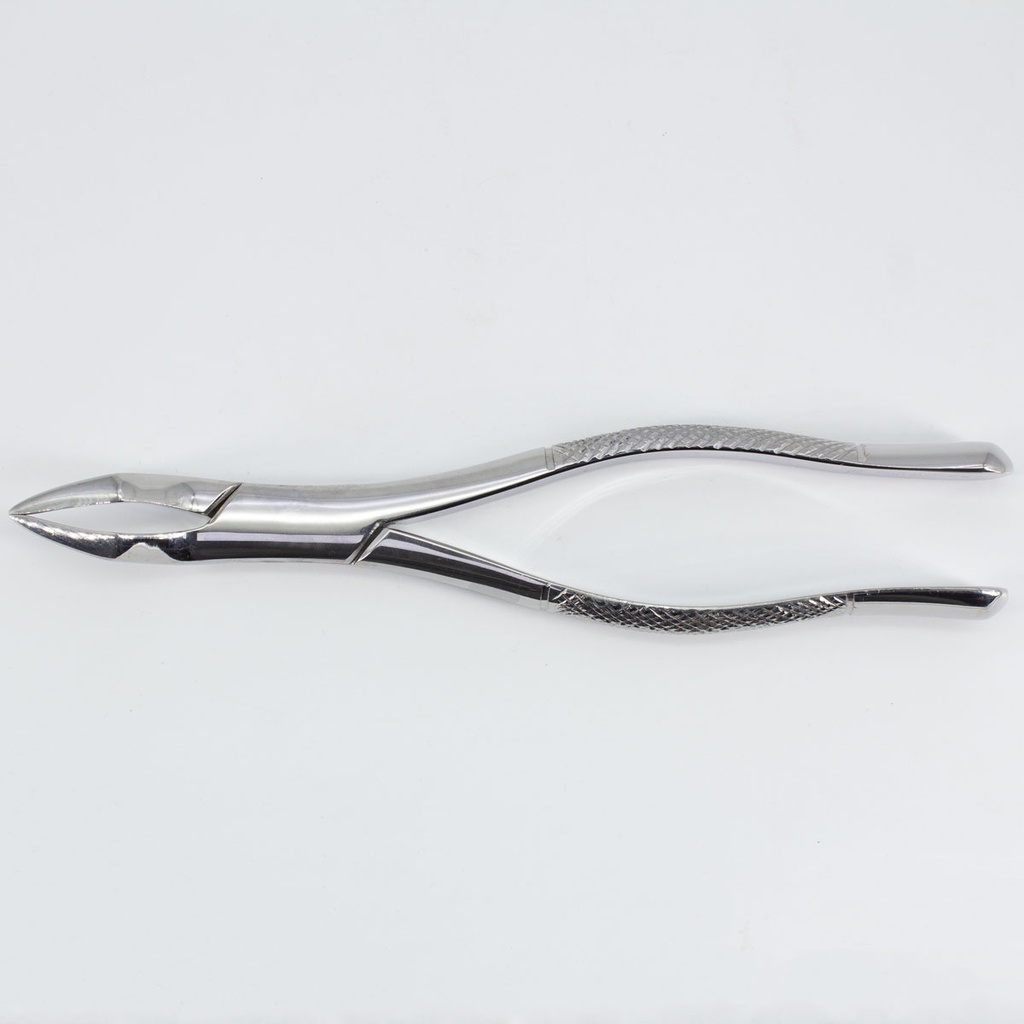 Forceps Adulto Woodpecker