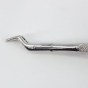 Forceps Adulto Woodpecker