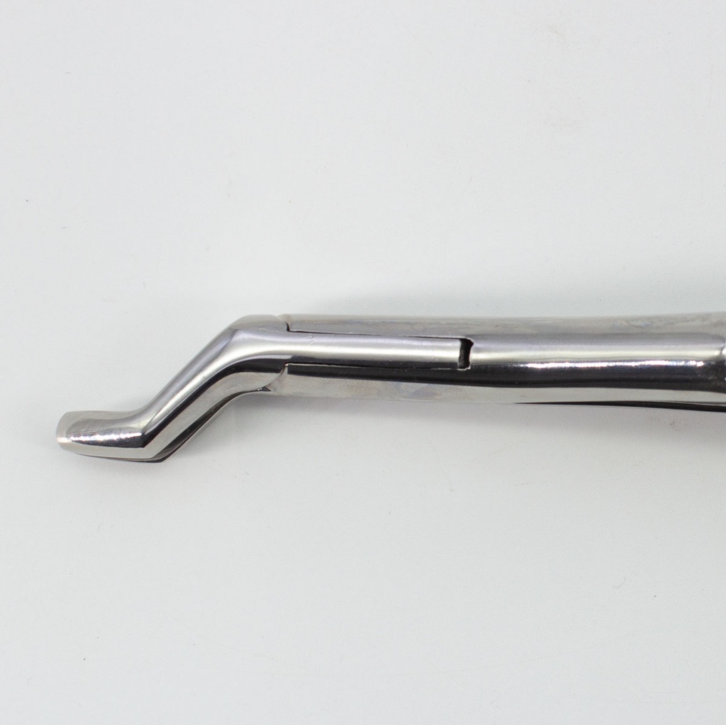 Forceps Adulto Woodpecker