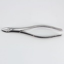 Forceps Adulto Woodpecker