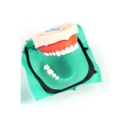 Goma Dique Verde 5"x5" Cotisen