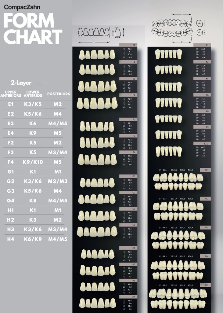 Tableta de Dientes Acrílicos M1 CompacZahn Incidental