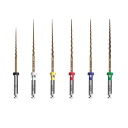 Limas Mecanizadas NiTi Smart Gold Endoart Serie A Incidental