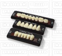 Tableta de Dientes Acrílicos E4 Upper CompacZahn Incidental