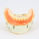 Modelo Implantología Max. Inferior M6002 Machtig