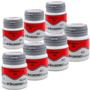 Porcelana LDL Polvo Dentina Vision Wohlwend