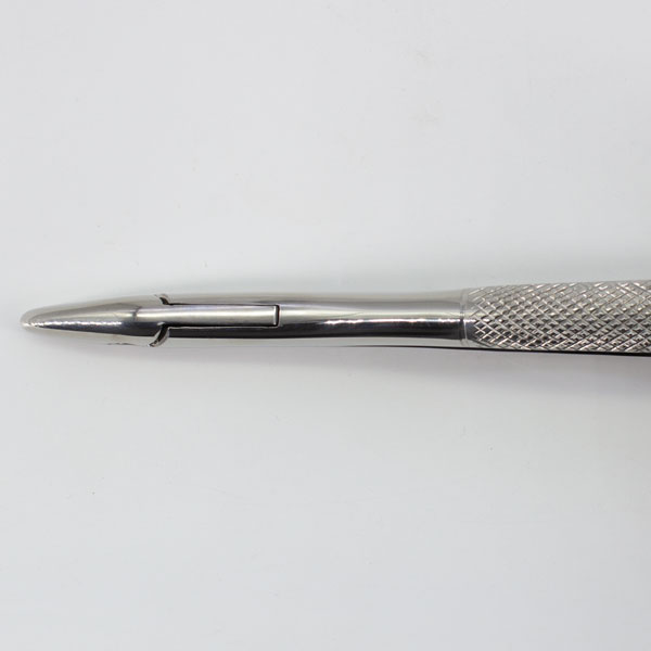 Forceps Adulto Woodpecker