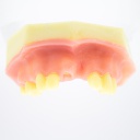 Modelo estudio y práctica Levant.Seno Max.Superior Machtig