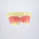 Modelo estudio y práctica Implantología con encía Max. Superior CBCT Machtig
