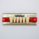 Tableta de Dientes Acrílicos U37 Vivid