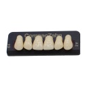Tableta de Dientes Acrílicos E4 Upper CompacZahn Incidental