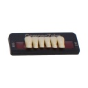Tableta de Dientes Acrílicos K6 Lower CompacZahn Incidental