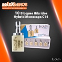 10 Bloques Híbridos Hybrid Monocromático C14 Evolith