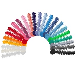 Ligaduras Elásticas en módulos Orthometric