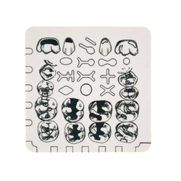 [DIA4166] Loseta de Entrenamiento Learn and Prep Whip Mix