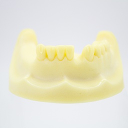 [DIA4156] Modelo estudio y práctica Implantología Max. Inferior M2028 Machtig