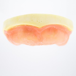 [DIA4160] Modelo estudio y práctica Implantología Desdentado con encía Max.Superior Machtig