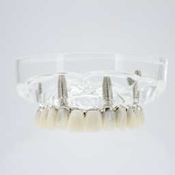 [DIA4200] Modelo estudio y práctica Rehabilitación con 4 tornillos Max. Superior M6001-1 Machtig